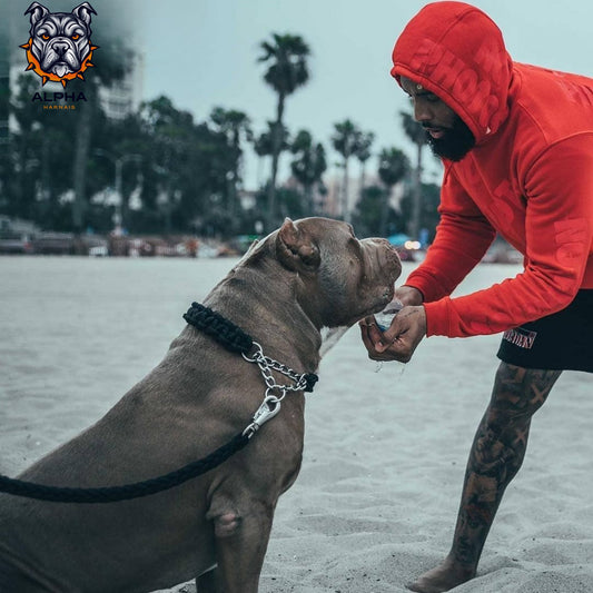 COLLIER + LAISSE "BLACK ARMY"