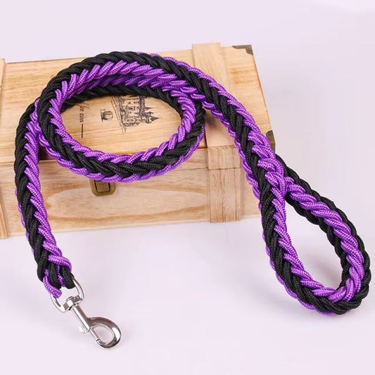 COLLIER + LAISSE "BLACK & PURPLE ARMY"