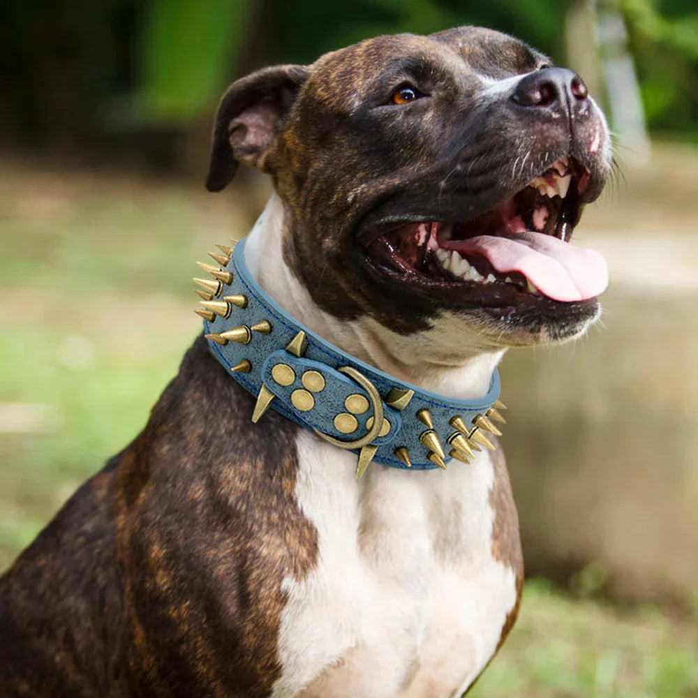 Collier pour gros chien