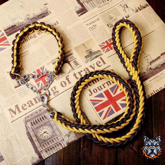 COLLIER + LAISSE "BLACK & YELLOW ARMY"